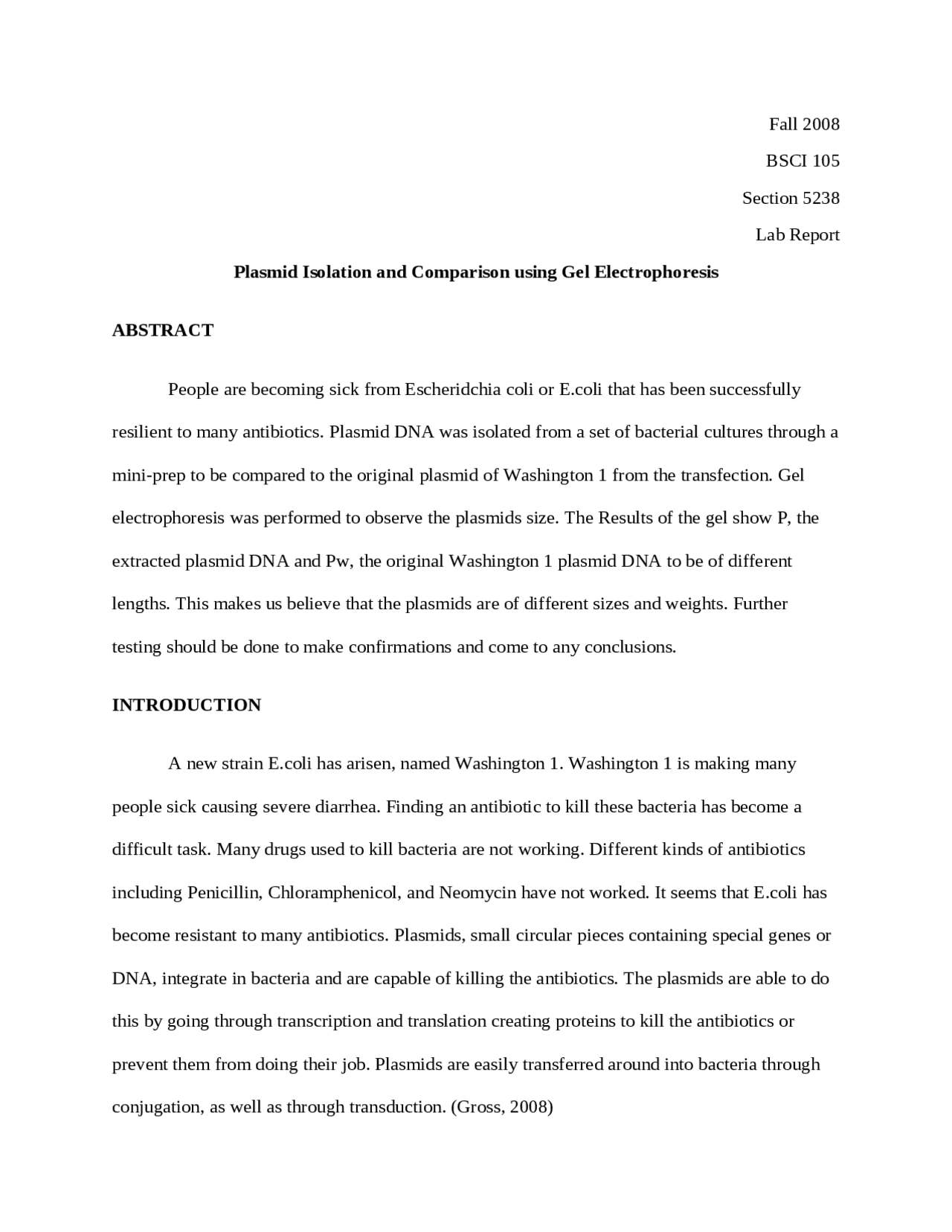 Plasmid Isolation and Gel Electrophoresis Lab Report BSCI 105 Docsity