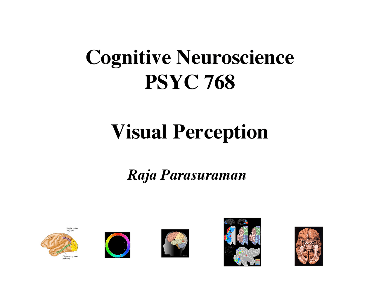Vision Perception - Cognitive Neuroscience - Notes | PSYC 768 - Docsity