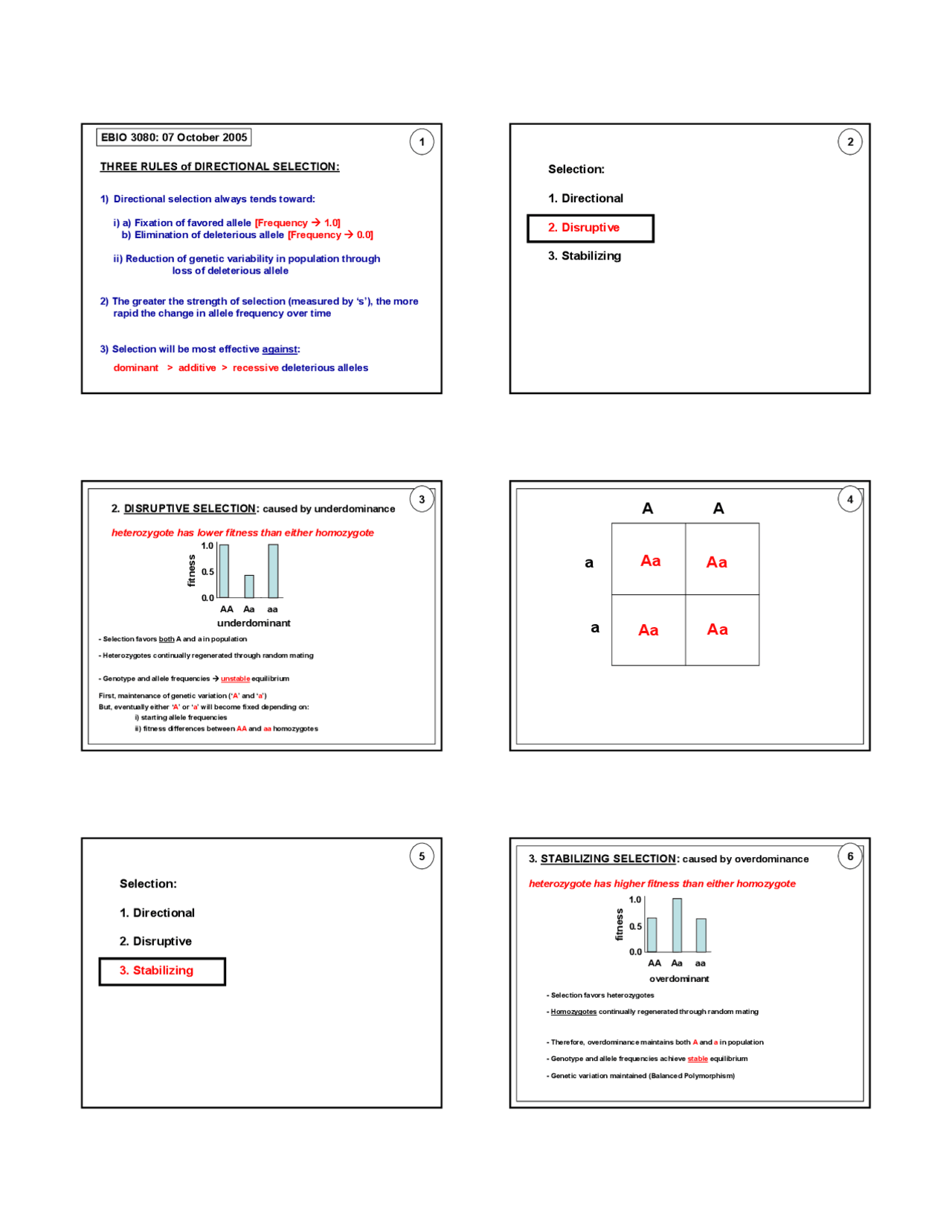 Three Rules of Directional Selection - Lecture Slides | EBIO 3080 - Docsity