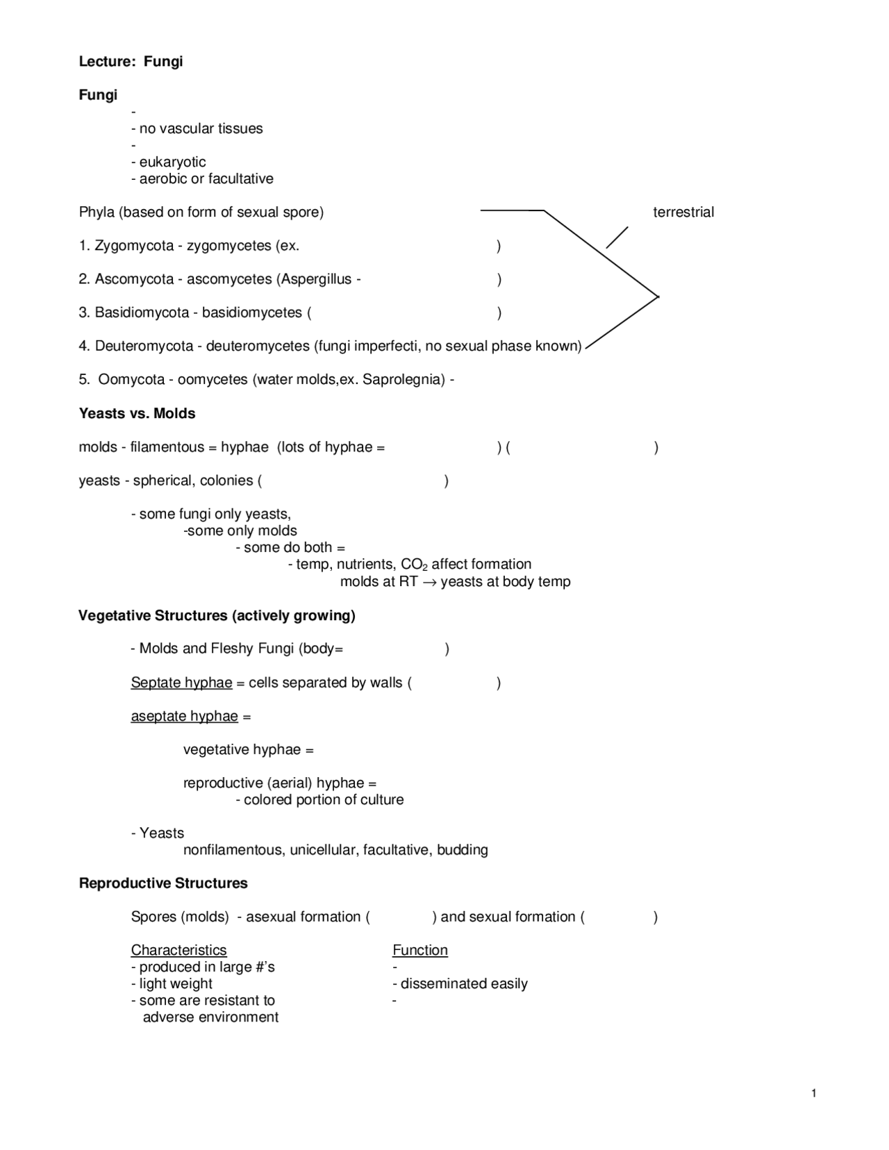 Notes on Fungi, Reproductive Structure – Microbiology | BI 203 - Docsity