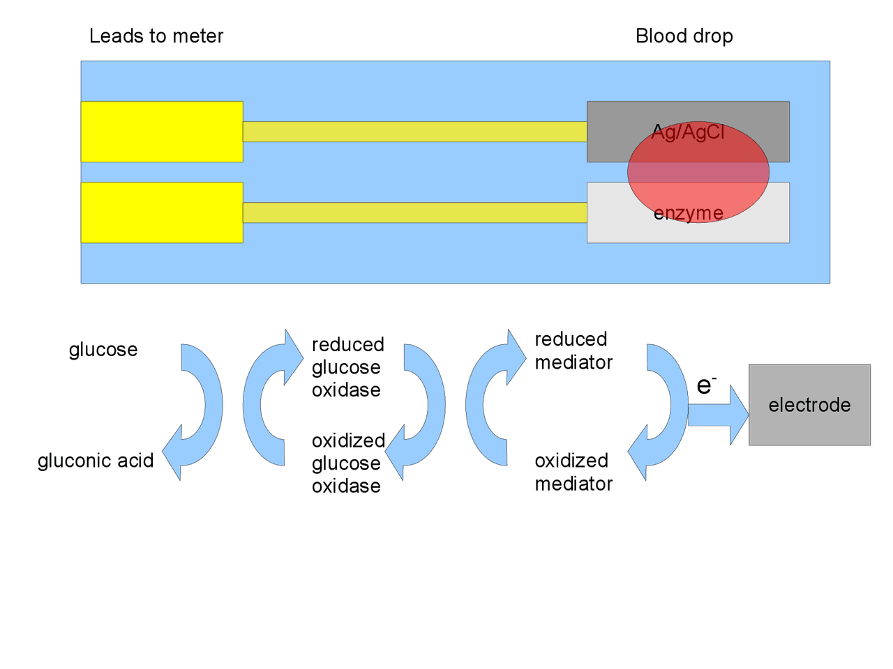 Lecture Notes on Spectrophotometer of Biomedical Instrumentation BIOE