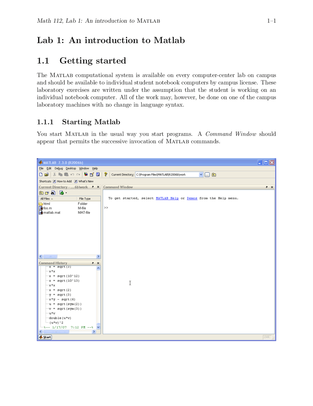 An Introduction to MATLAB - Laboratory Report | MATH 112 - Docsity