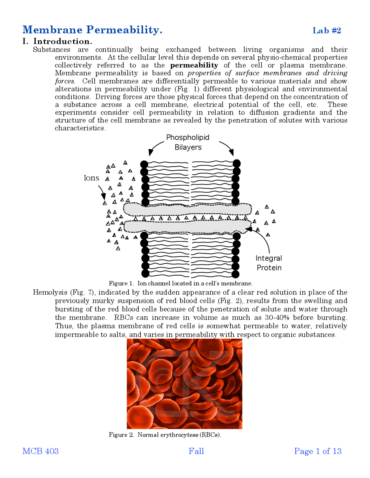 Introduction to Membrane Permeability - Lab 2 | MCB 403 - Docsity