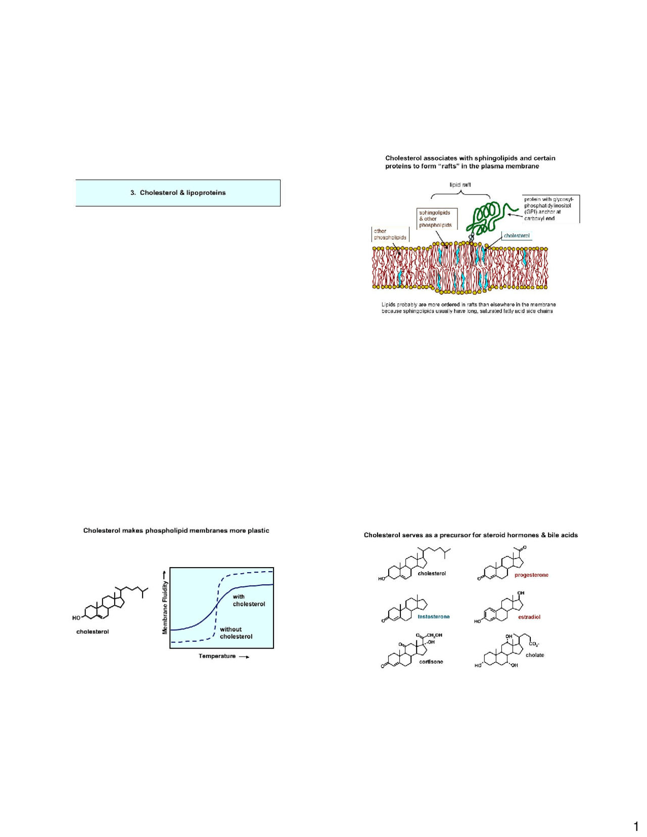 Notes on Cholesterol and Lipoproteins Biochemistry BIOC 441 Docsity