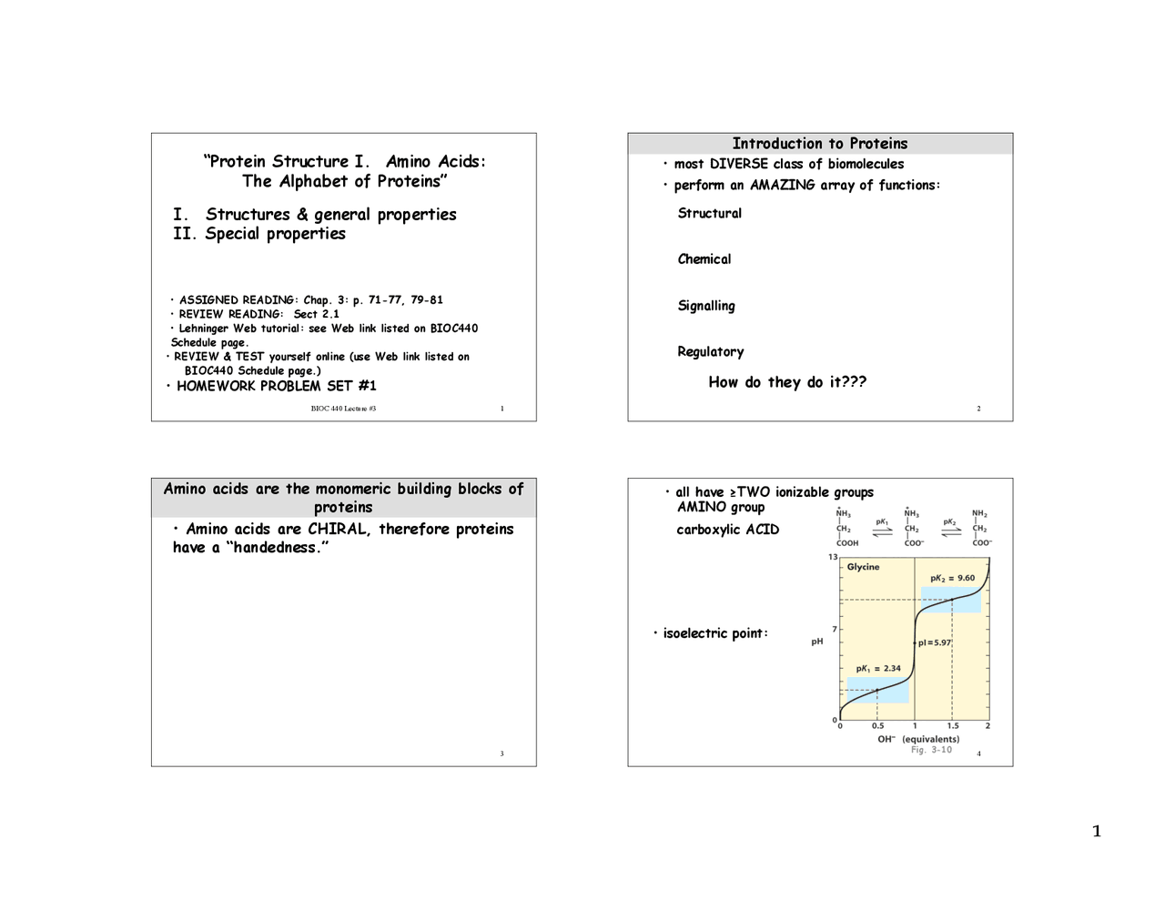 Protein Structure I. Amino Acids: The Alphabet of Proteins | BIOC 440 ...