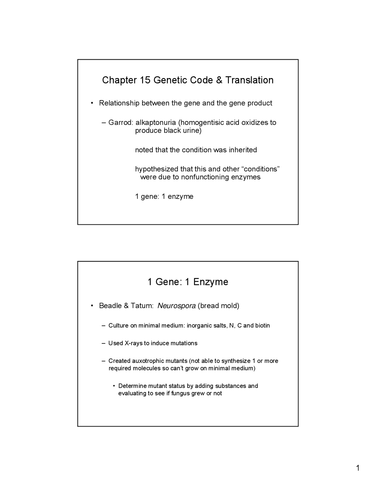 Genetics Code and Translation - Lecture Slides | AGR 3303 - Docsity