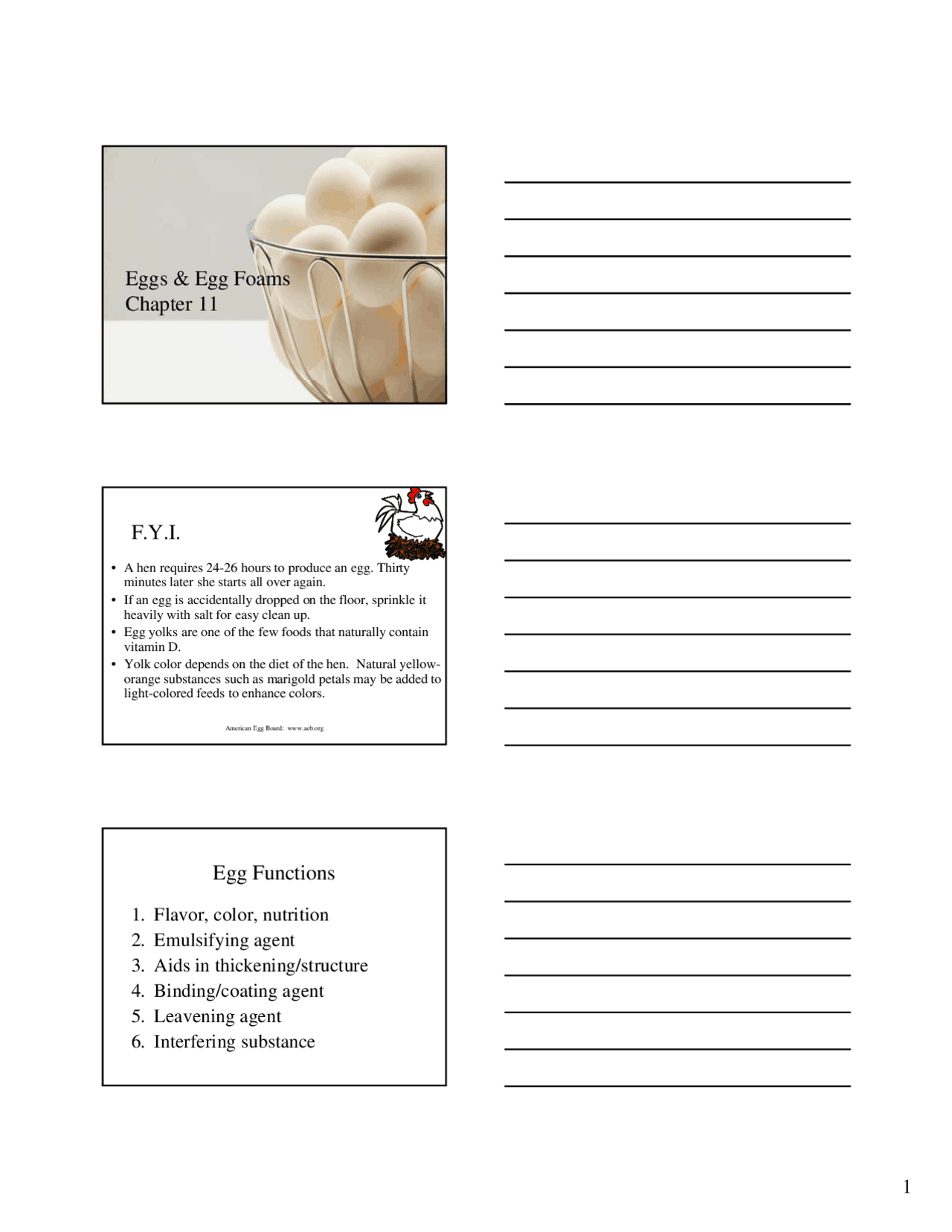 Eggs and Egg Foams Lecture Slides FCS 1120 Docsity