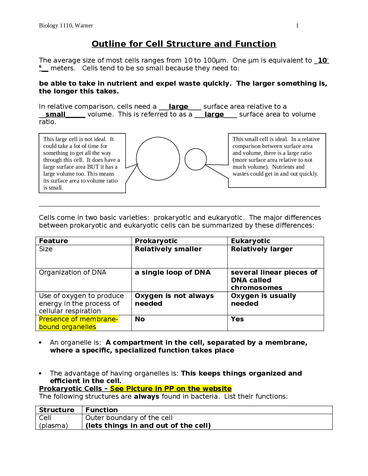 Outline for Cell Structure and Function - Principles of Biology I ...