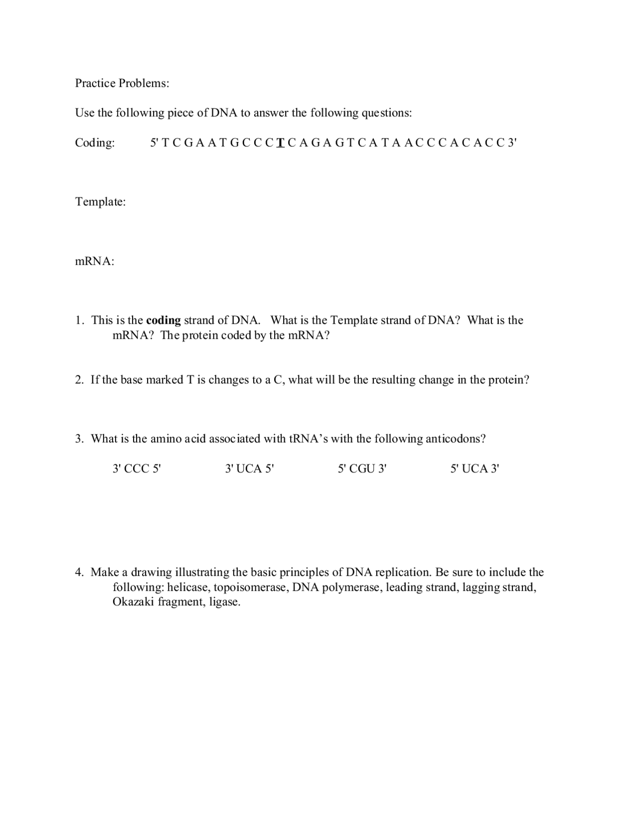 Questions on Template Strand of DNA in Biology of Cells and Organisms ...
