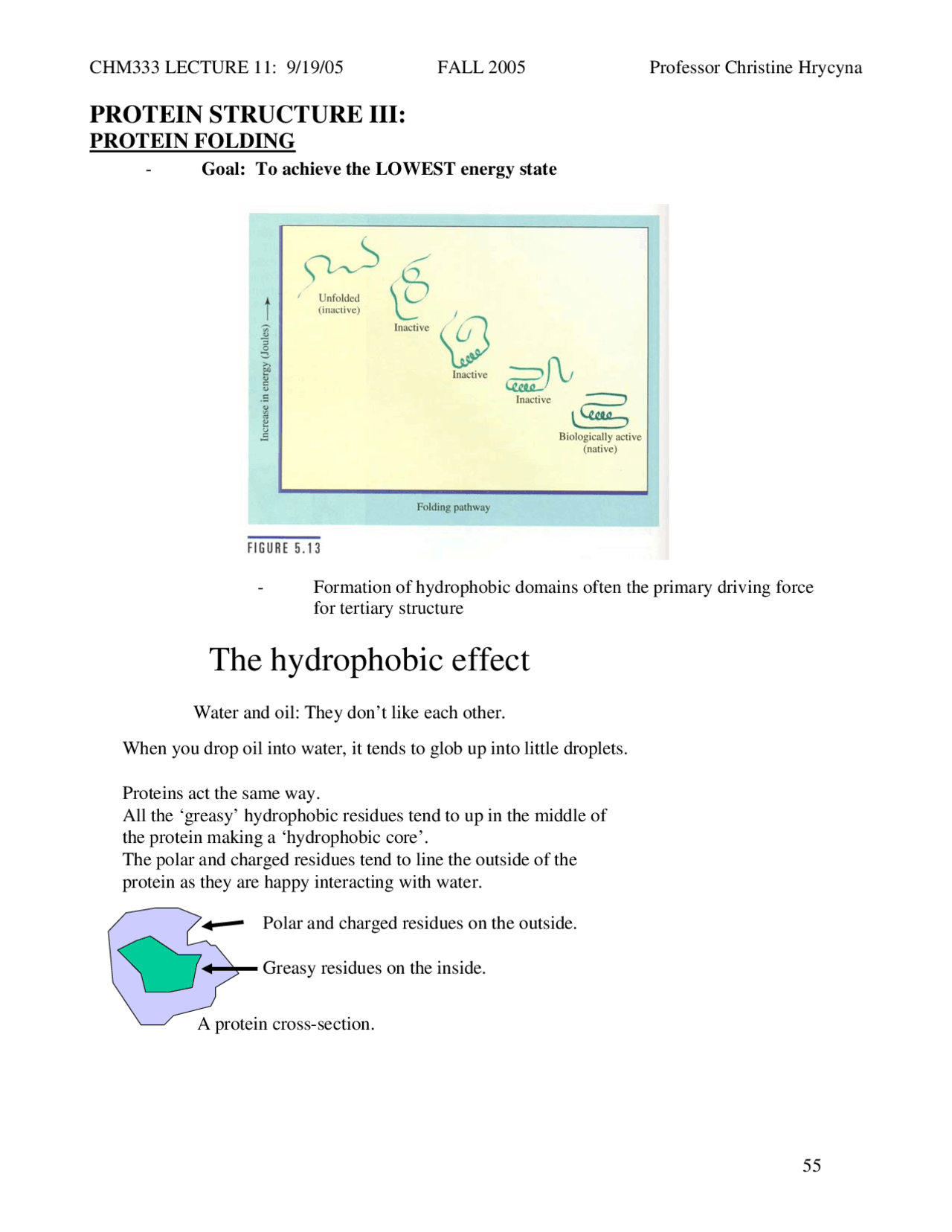 Protein Structure III - Protein Folding - Lecture Notes | CHEM C1260 ...