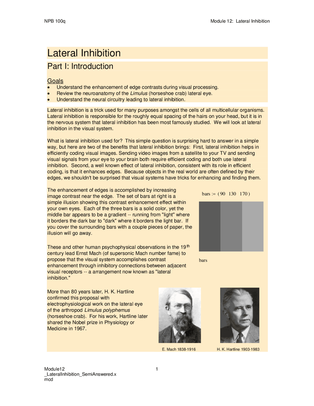 Review Sheet for Lateral Inhibition - Neurobiology | NPB 100 - Docsity