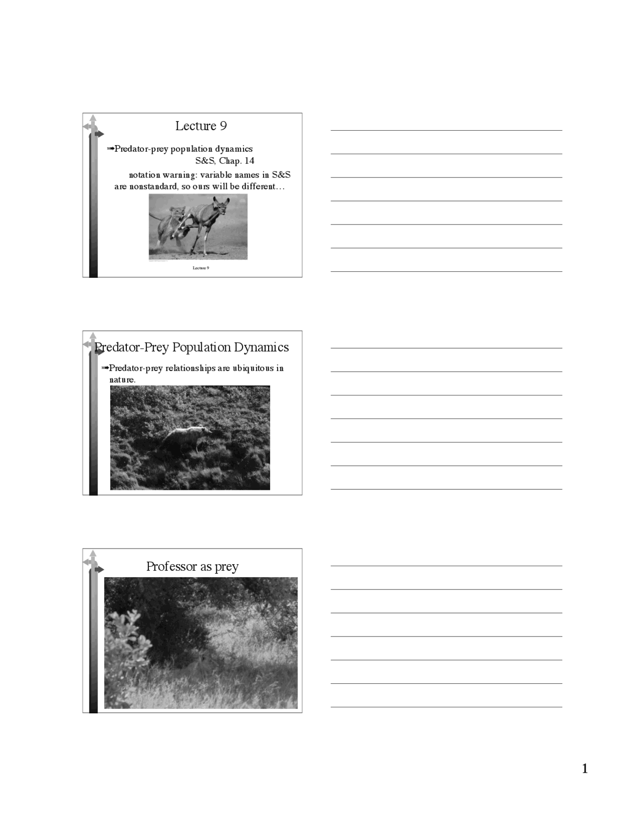 Predator Prey Population Dynamics Biol 221 Docsity