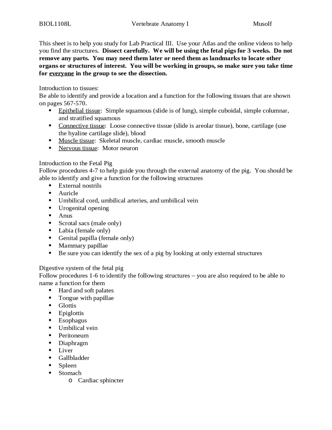 Principles of Biology II - Vertebrate Anatomy I | BIOL 1108 - Docsity