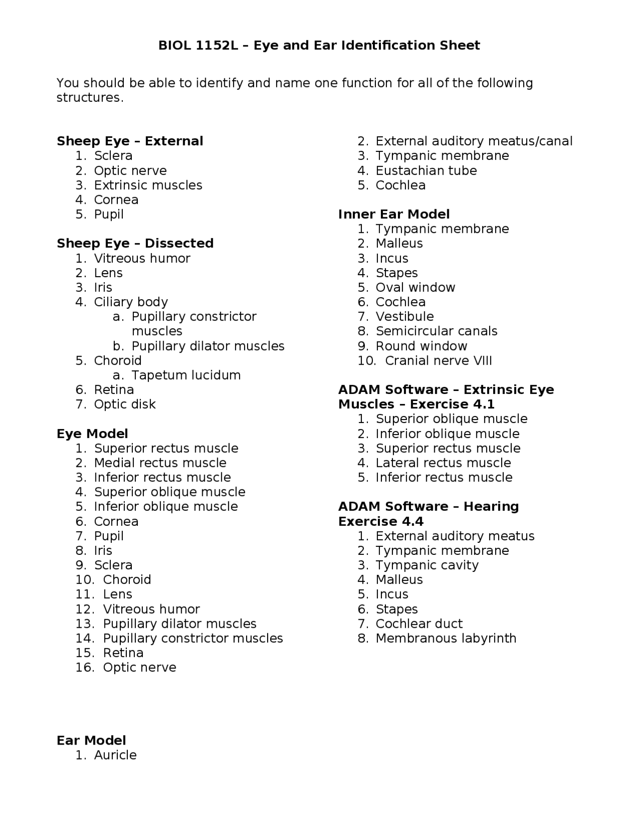 Eye And Ear Identifications Sheet BIOL 1152L Docsity