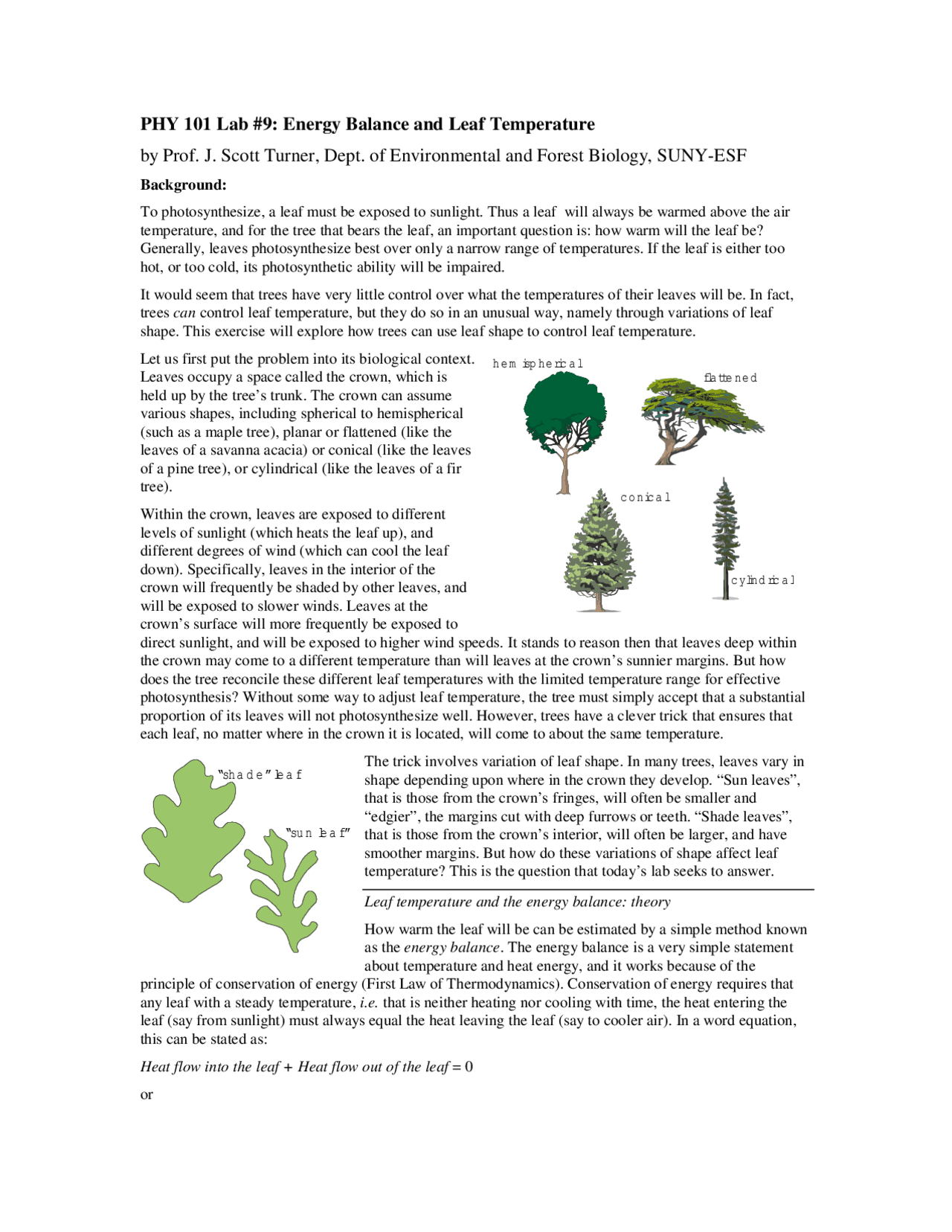 Energy Balance and Leaf Temperature - Laboratory 9 | PHY 101 - Docsity