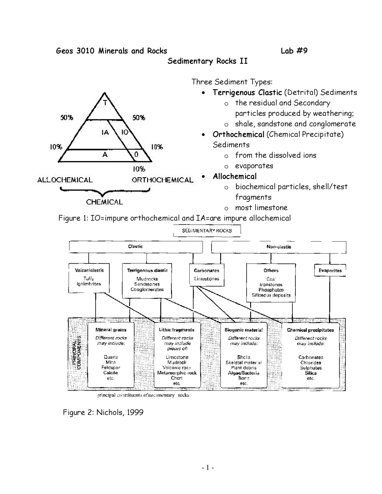 Sedimentary Rocks II – Minerals and Rocks - Lab | GEOS 3010 - Docsity