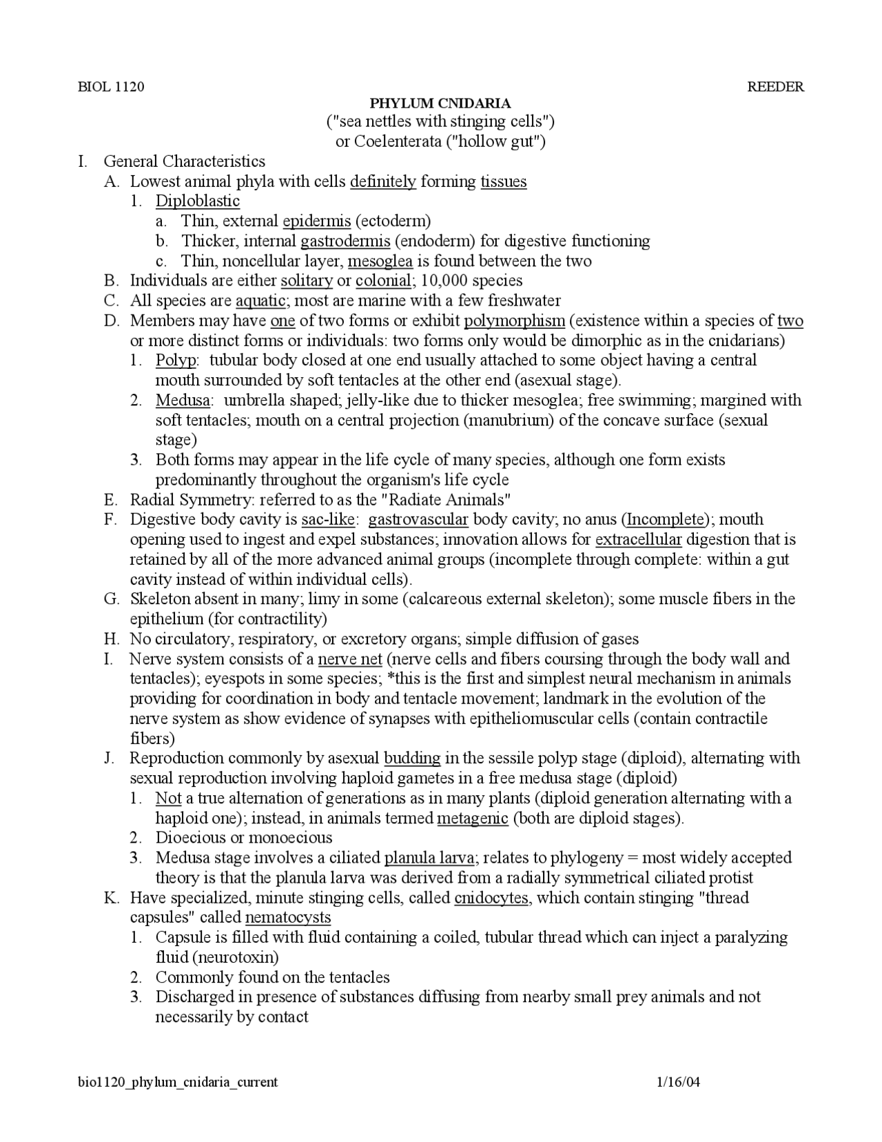 Phylum Cnidaria - Lecture Notes | BIOL 1120 - Docsity