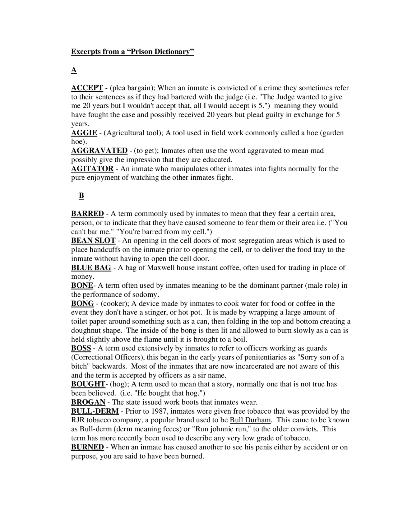 Excerpts from the Prison Dictionary - Paper | CJUS 3400 - Docsity