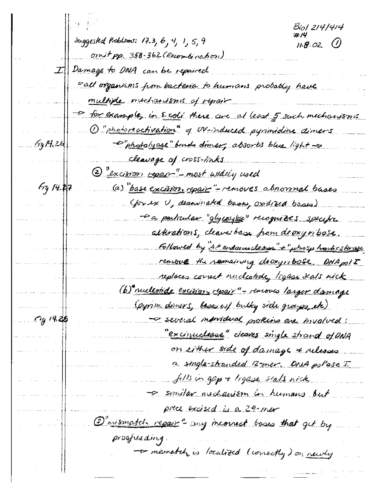 Damage to DNA can be Repaired - Handwritten Notes | BIOL 214 - Docsity