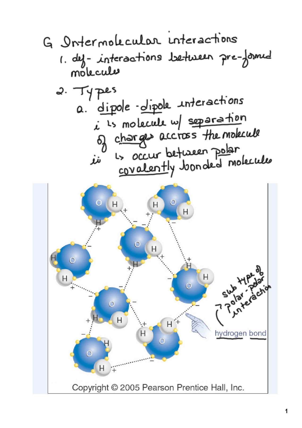 Handout Notes for Intermolecular Forces | BSC 2010C - Docsity