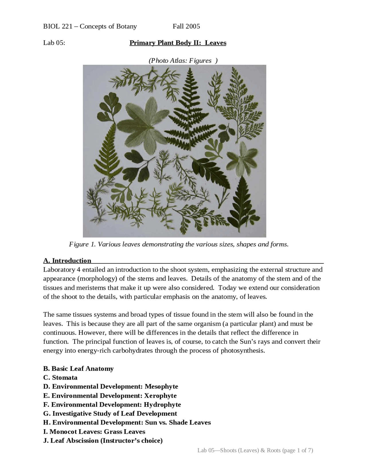 Lab Report Botany Lab 5: Primary Plant Body II: Leaves - Concepts of Botany | BIOL 221 ...