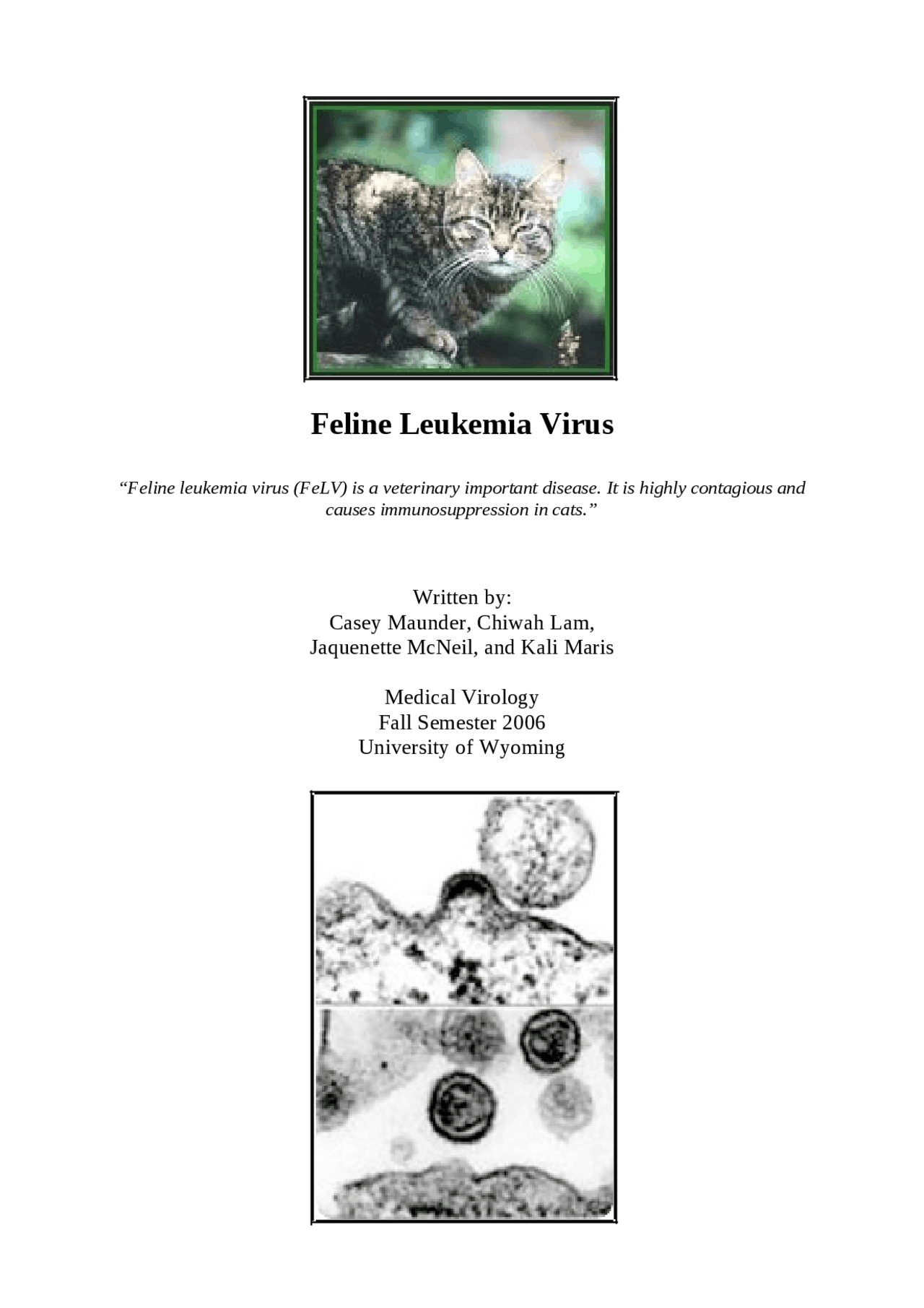 Feline Leukemia Virus: Types, Transmission, Effects, and Prevention in ...