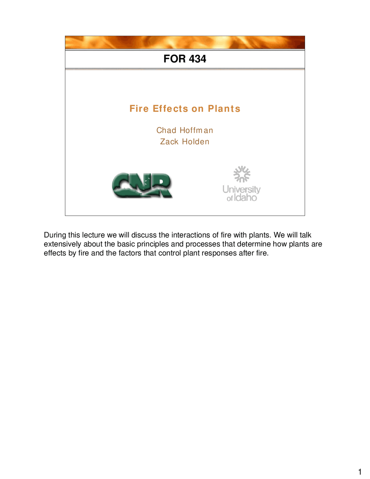 Fire Effects on Plants Assessing Fire Effects and Burn Severity FOR