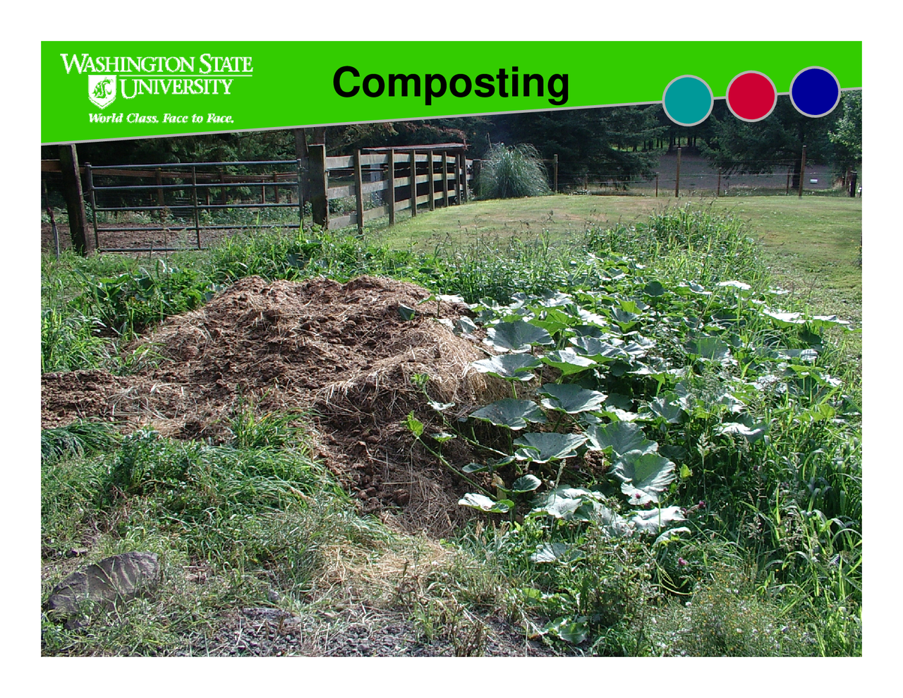 Composting Decompositions - Lecture Slides | SoilS 201 - Docsity