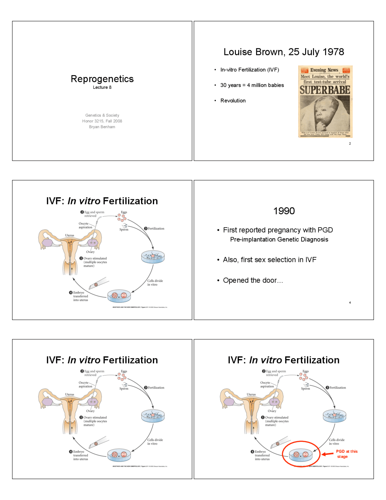 Reprogenetics - Lecture Slides | HONOR 3215 - Docsity