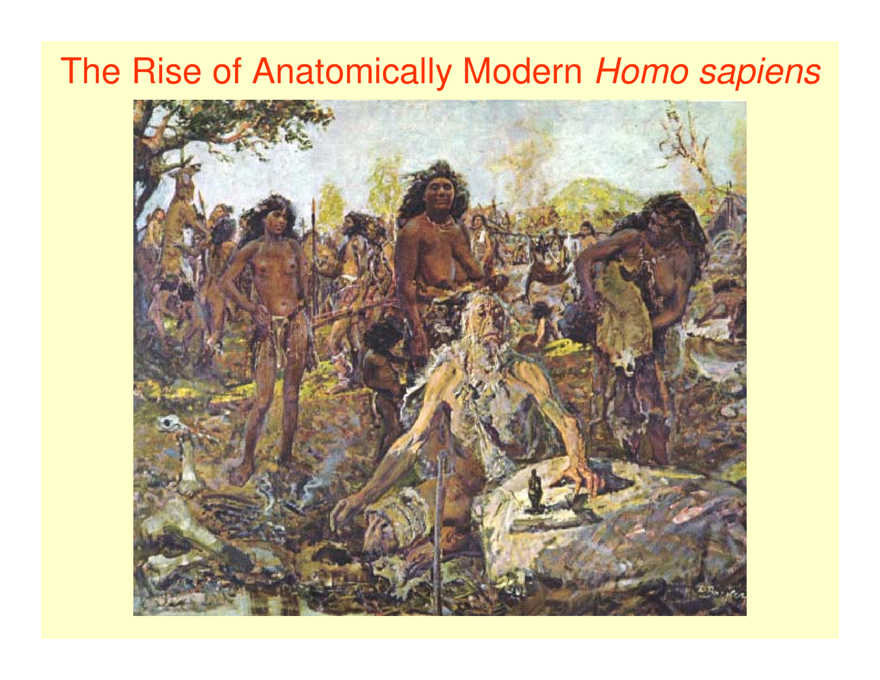 Modren Human The Rise of Anatomically Modern Homo Sapiens - Human Evolution | ANTH ...