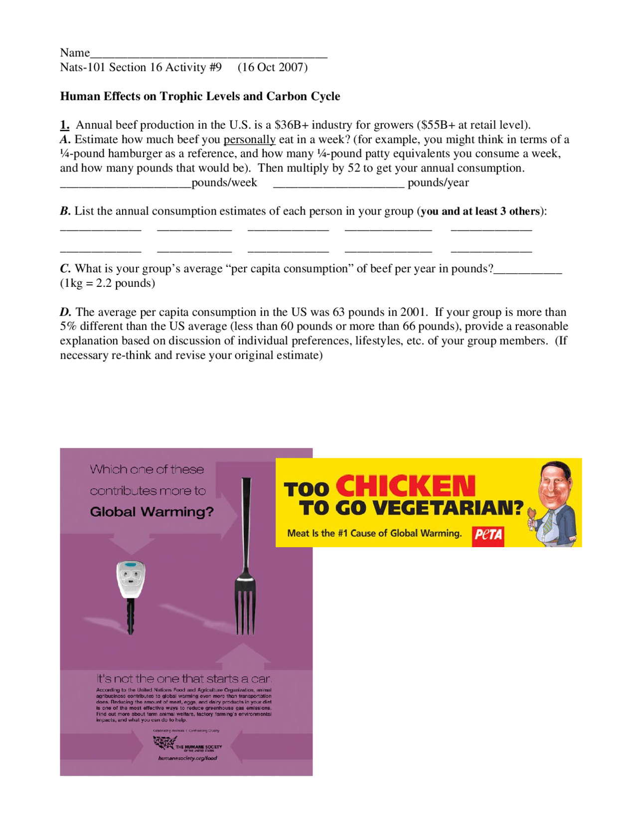 Human Effects on Trophic Levels and Carbon Cycle Biology Diagrams