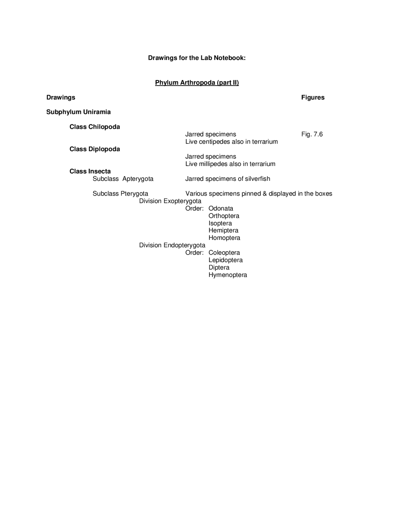 Phylum Arthropoda in Animal Diversity - Lab Experiment | BSC 2011L ...