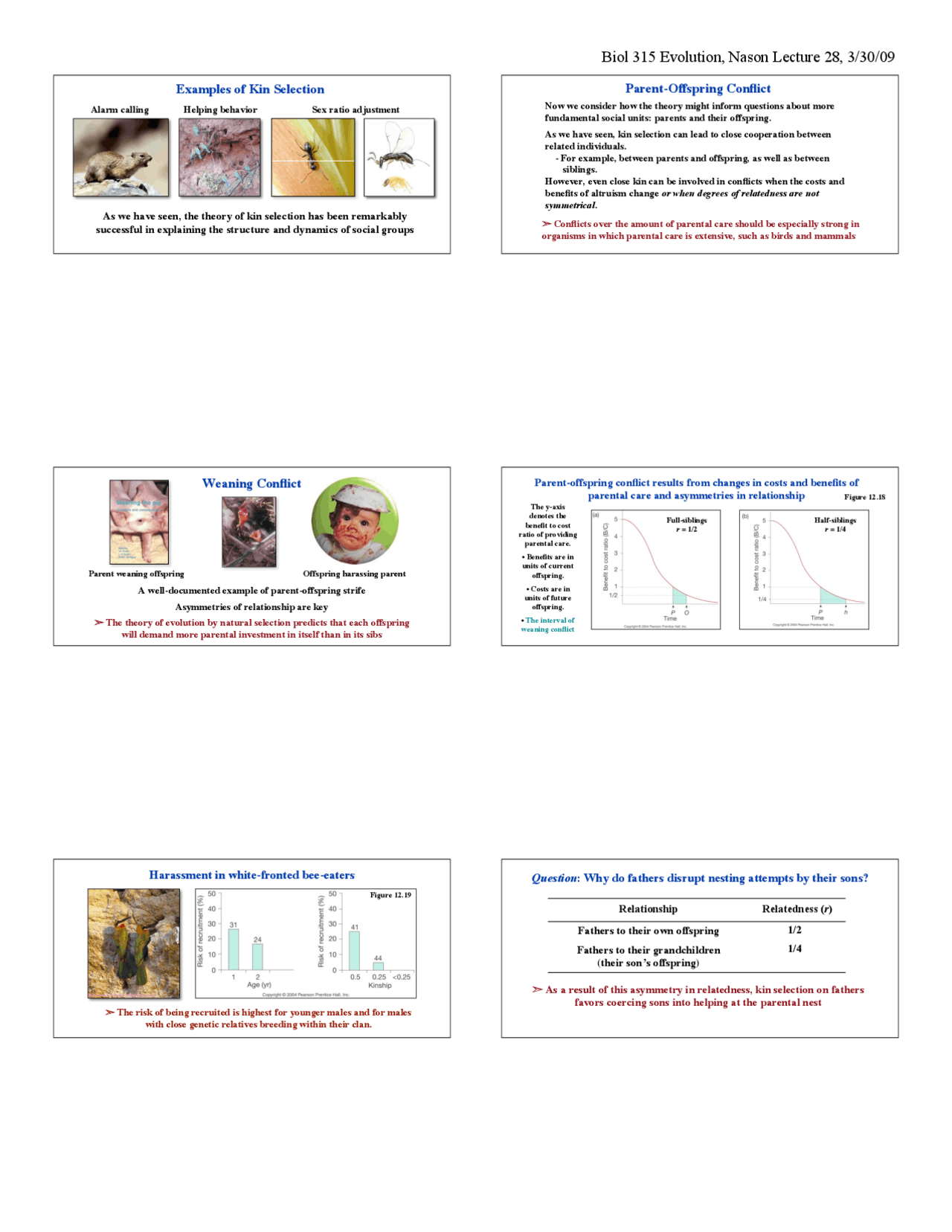 Parent Offspring Conflict - Biological Evolution - Laboratory | BIOL ...