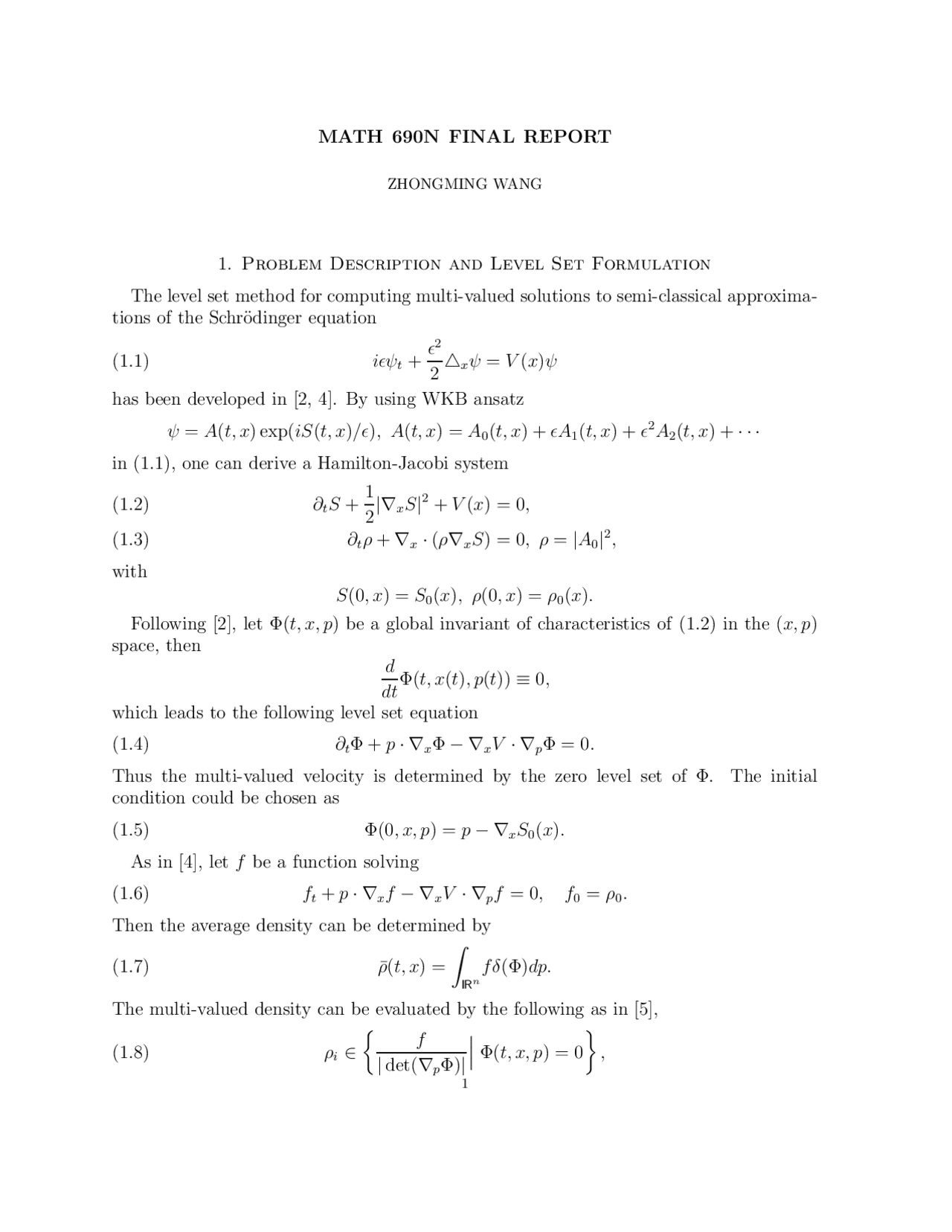 Problem Solving and Level Set Formulation in Math - Final Report | MATH ...