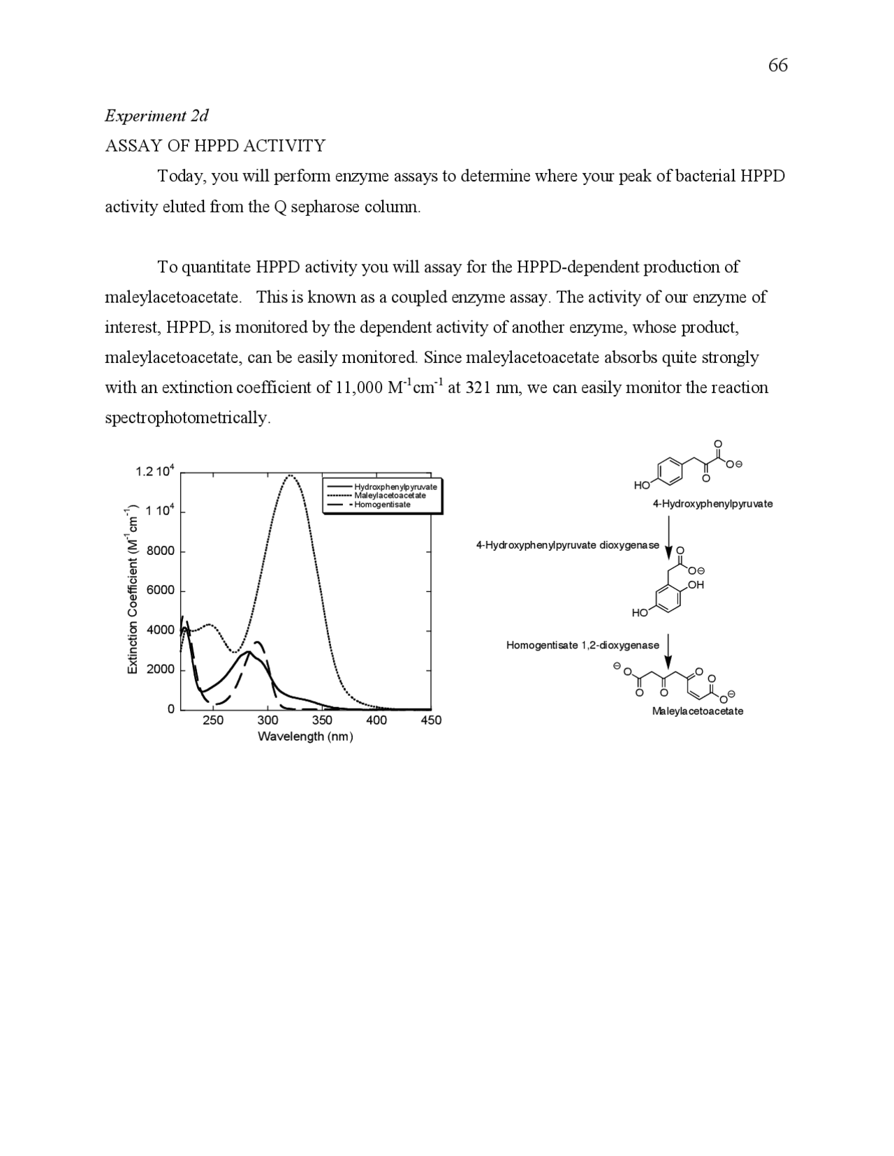 Hpdd Examples Assay of HPPD Activity - Introduction to Biochemistry Laboratory | CHEM ...
