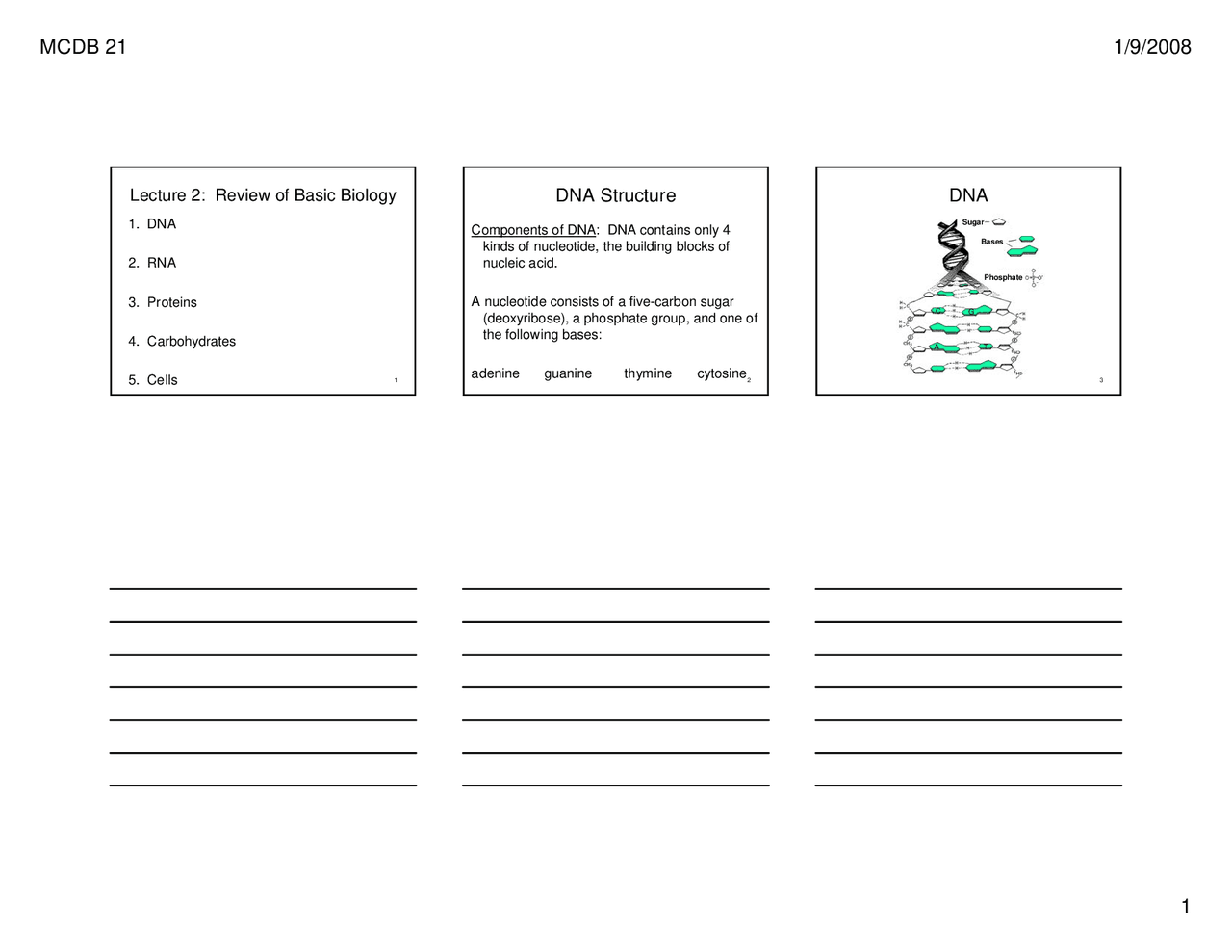 DNA, RNA, Proteins, Carbohydrates, Cells Slides MCDB 21 Study