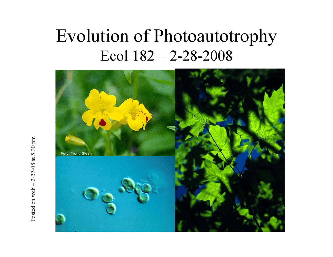 Evolution of Photoautotroph Introductory Biology II Handout ECOL