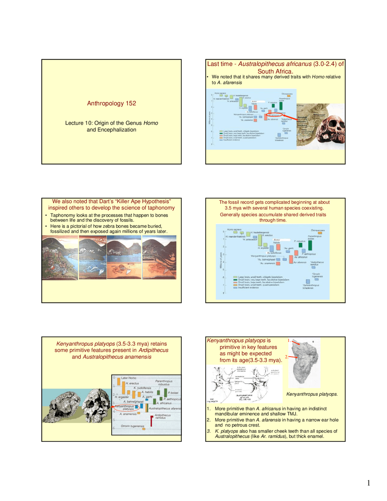 Anthropology - Human Evolution - Lecture Notes | ANT 152 - Docsity