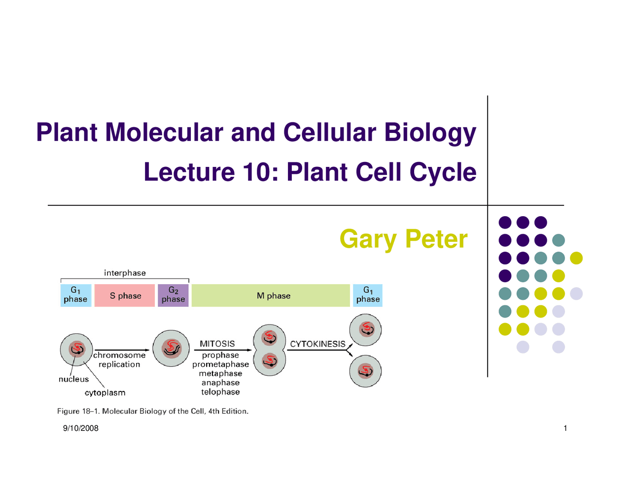 Notes on Plant Cell Cycle - Plant Molecular Biology Biology Diagrams