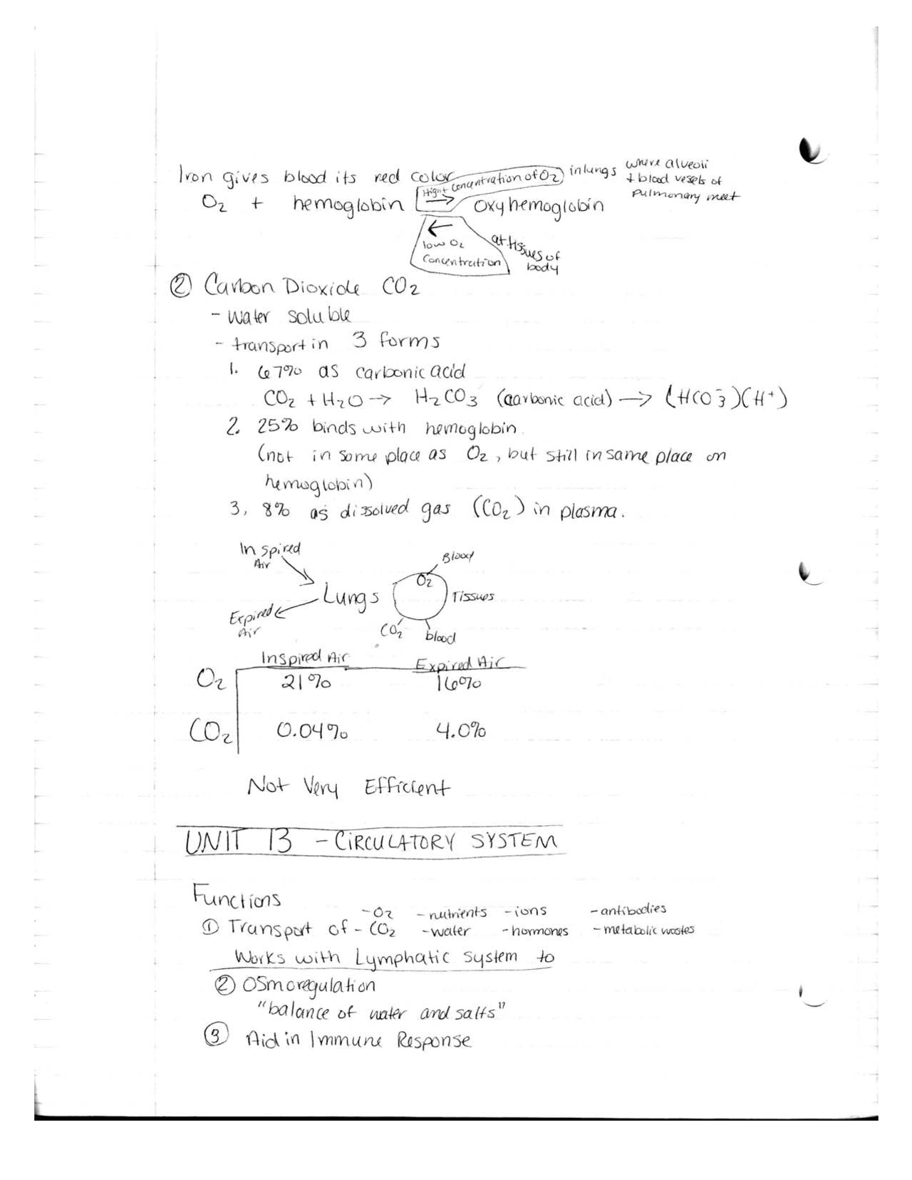 Carbon Dioxide and Circulatory System - Lecture Notes | BIO 1303 - Docsity