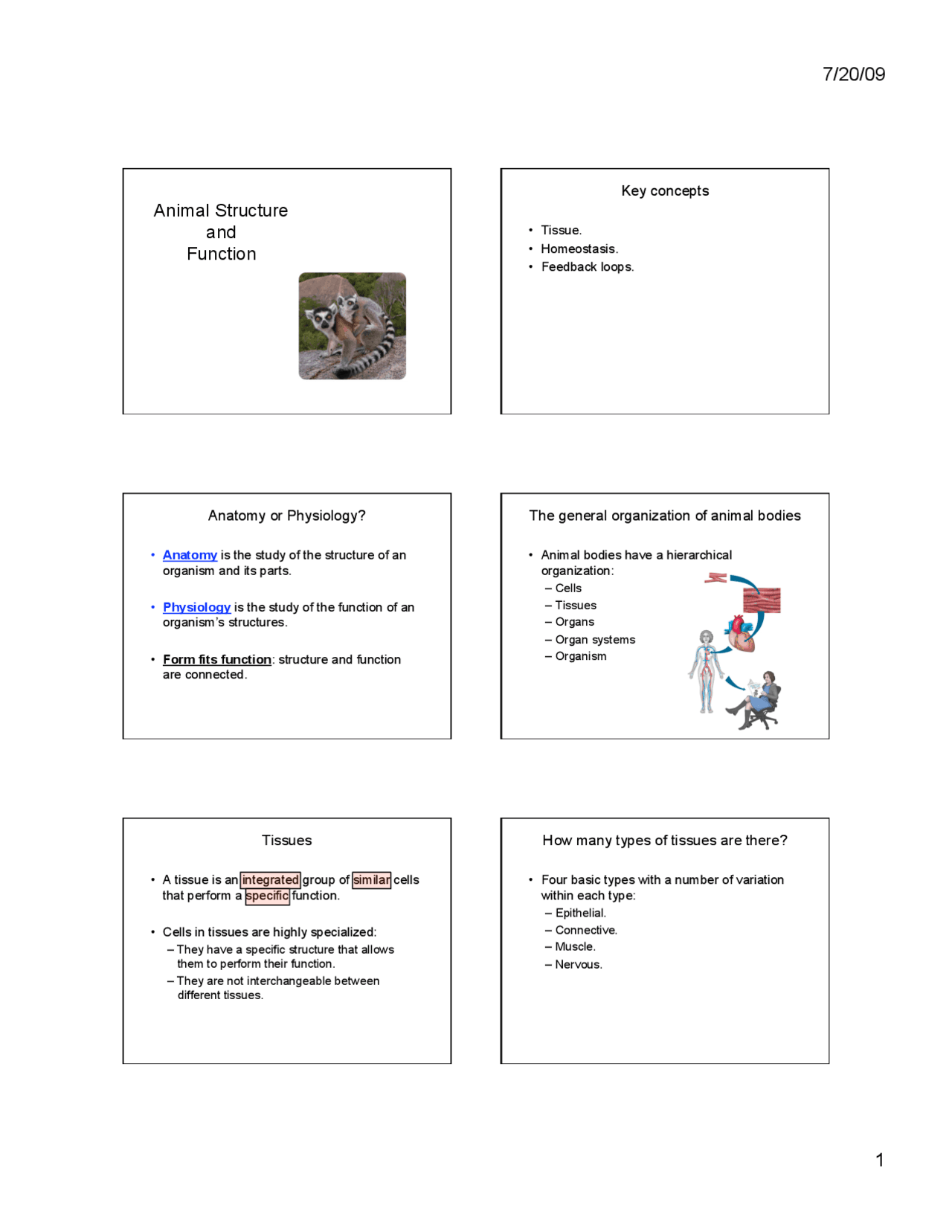Animal Structure and Function - Lecture Slides | BIO 101N - Docsity
