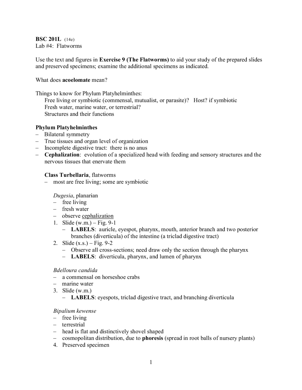 Flatworms - General Zoology - Laboratory 4 | BSC 201 - Docsity