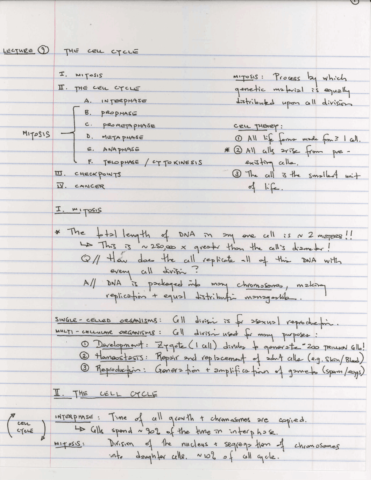 Handwritten Notes on The Cell Cycle - The Cell | BILD 1 - Docsity