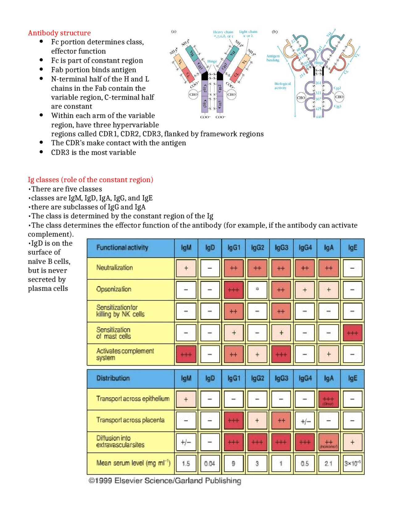 Study Guide for Exam on Immunology | BIO 4201 - Docsity