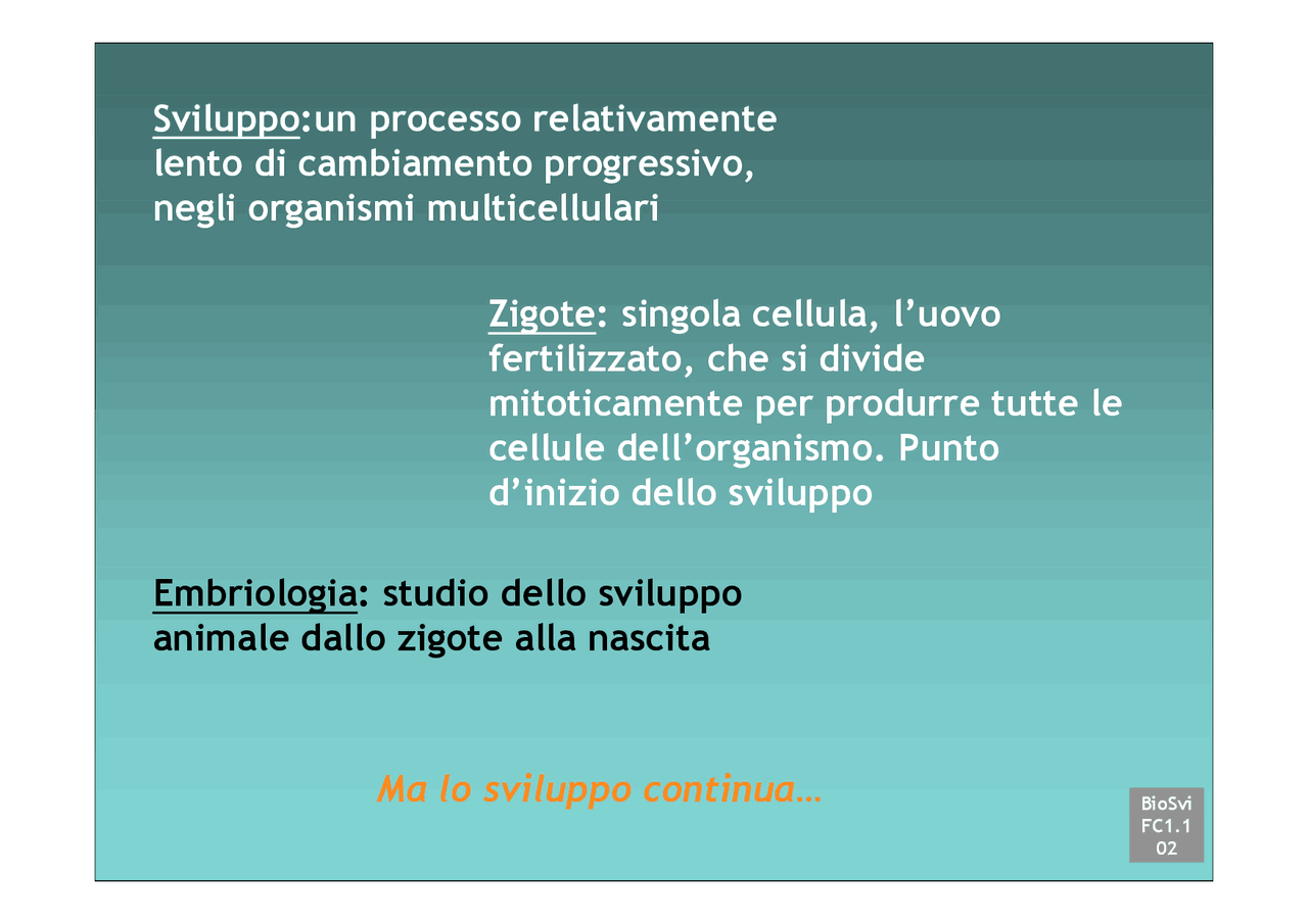 Biologia dello sviluppo - 1 Settembre 2004 | Dispense di Biologia Dello