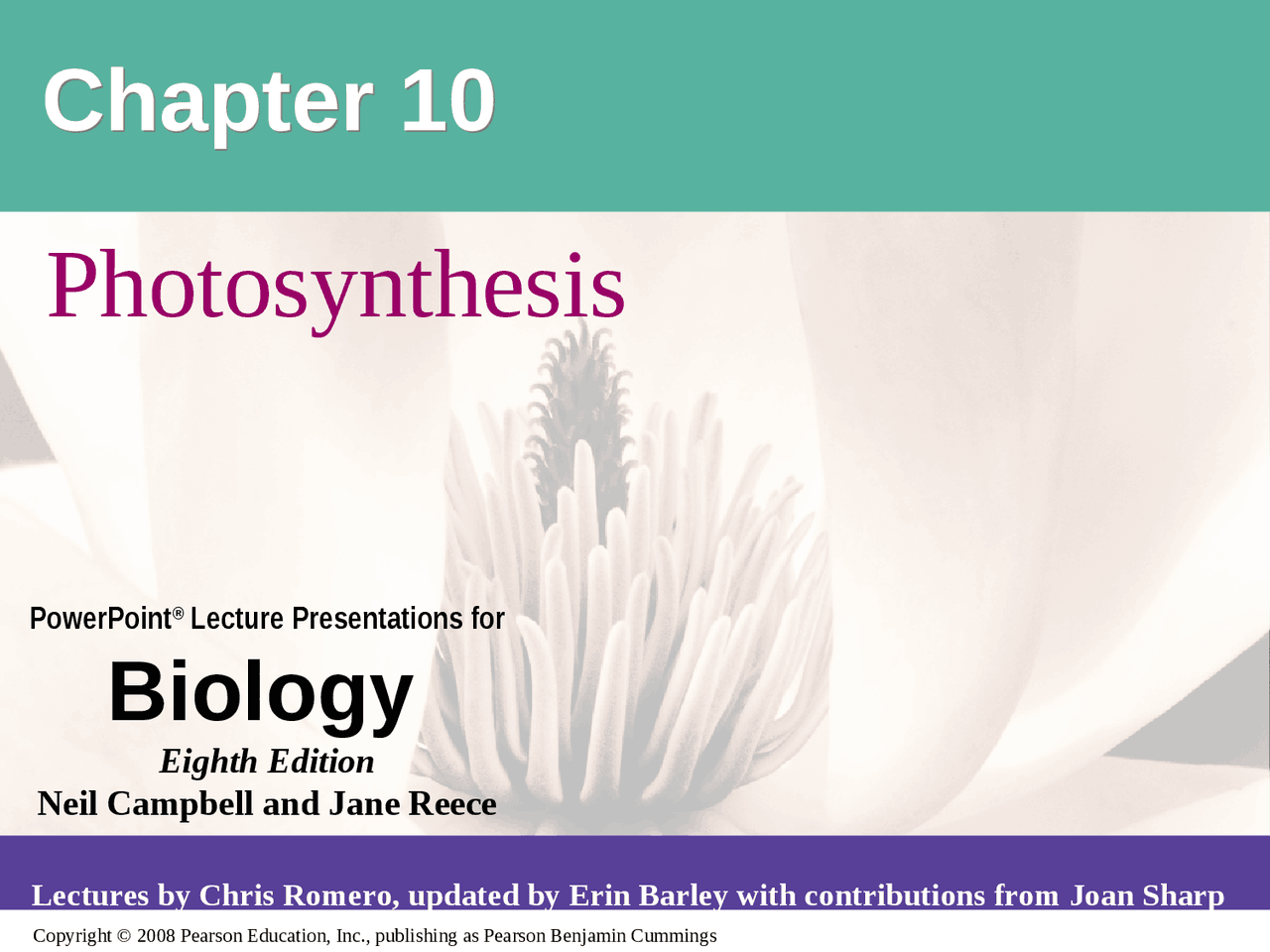 Photosynthesis - Lecture Notes - Biology II | BIO 2000 | Study notes ...