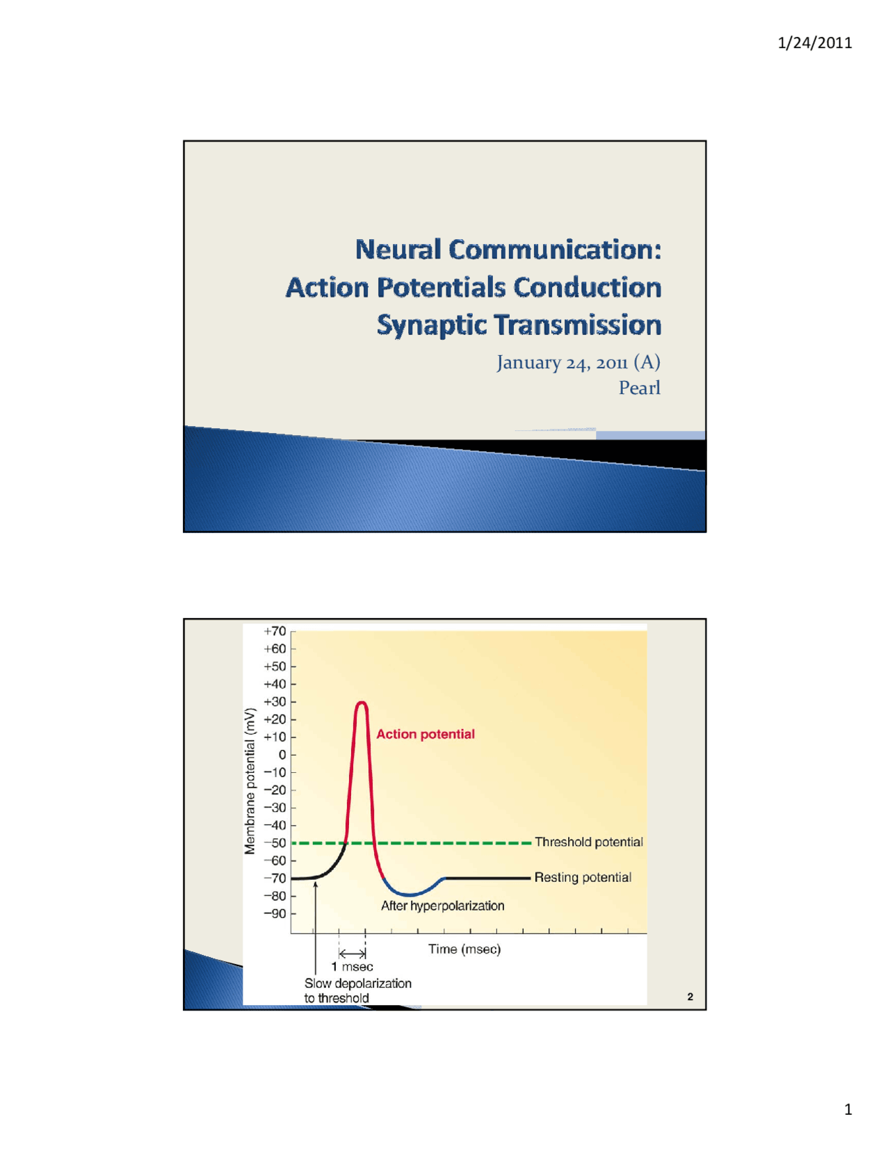 Neural Communication: Action Potentials Conduction Synaptic ...