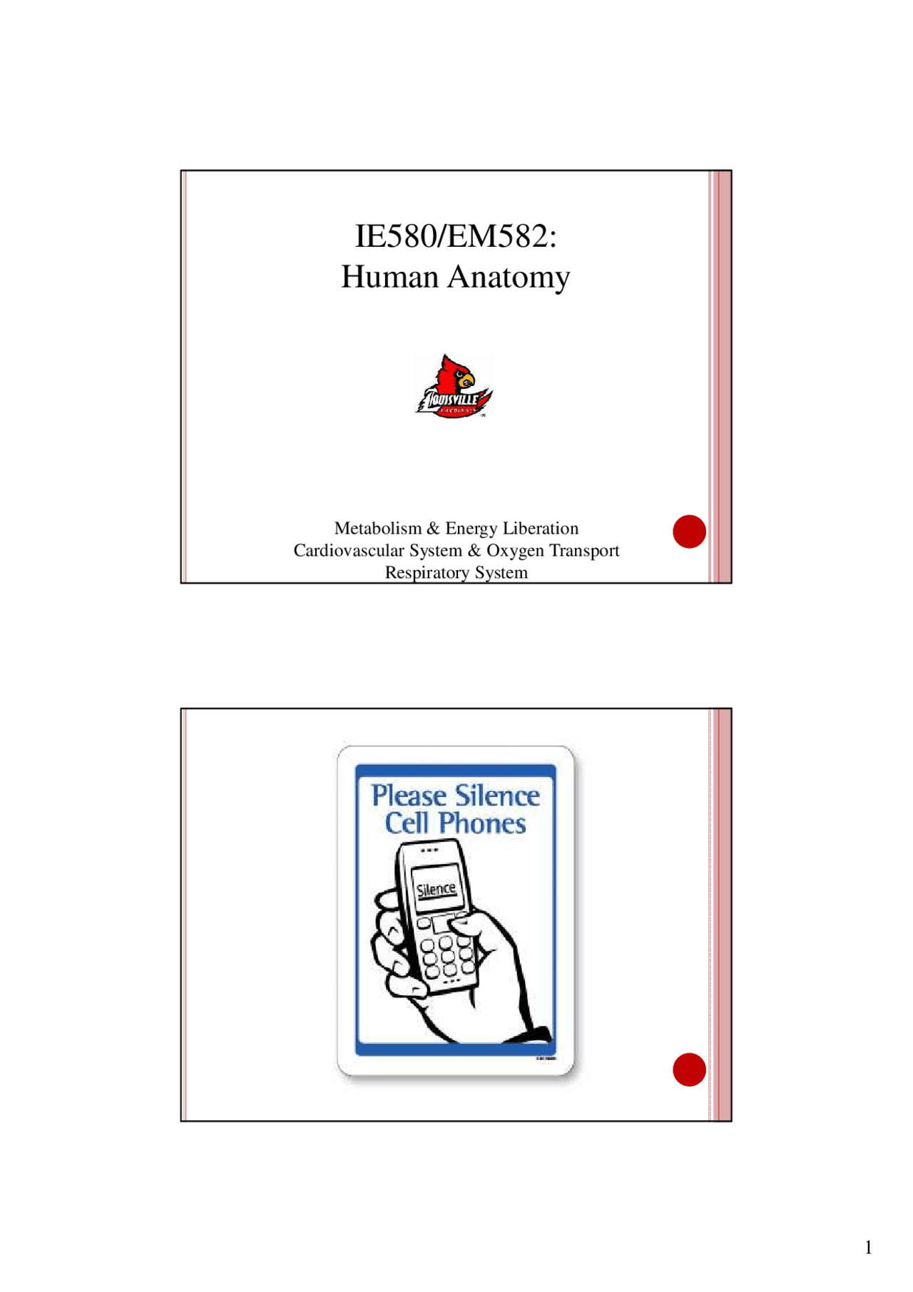 Human Anatomy Lecture Slides Ie 580 Docsity Human Anatomy Lecture Slides Ie 580 Docsity