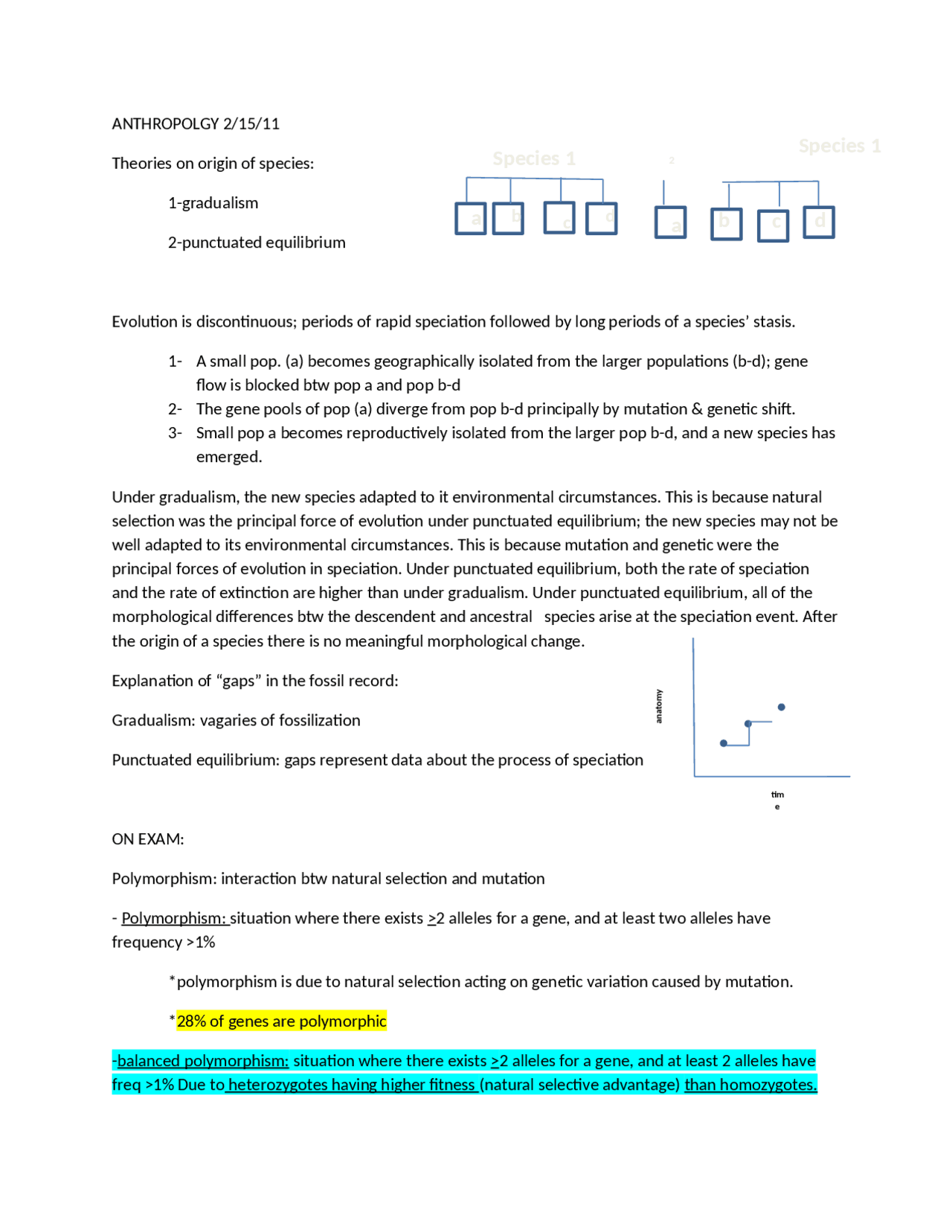 Introduction to Physical Anthropology - Notes for Test 1 | ANTH 1001 ...