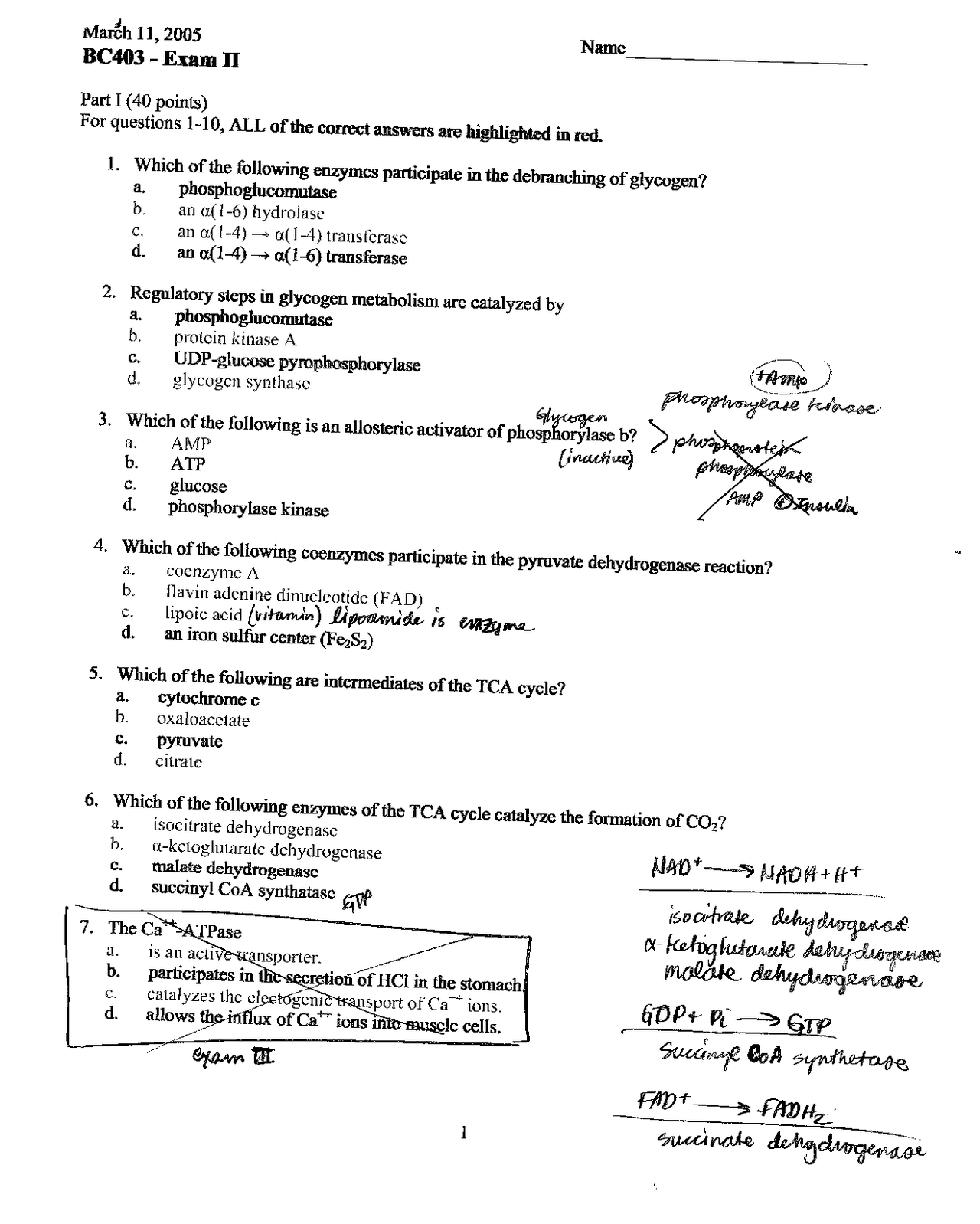5 Solved Questions on Glycogen Metabolism Exam 2 BC 403 Docsity